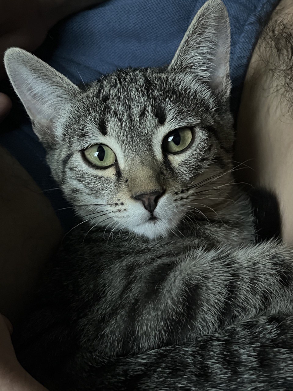 Leave The Door&nbsp;Open