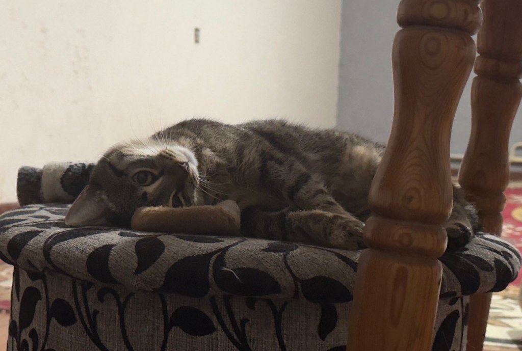 Sky Full Of&nbsp;Stars