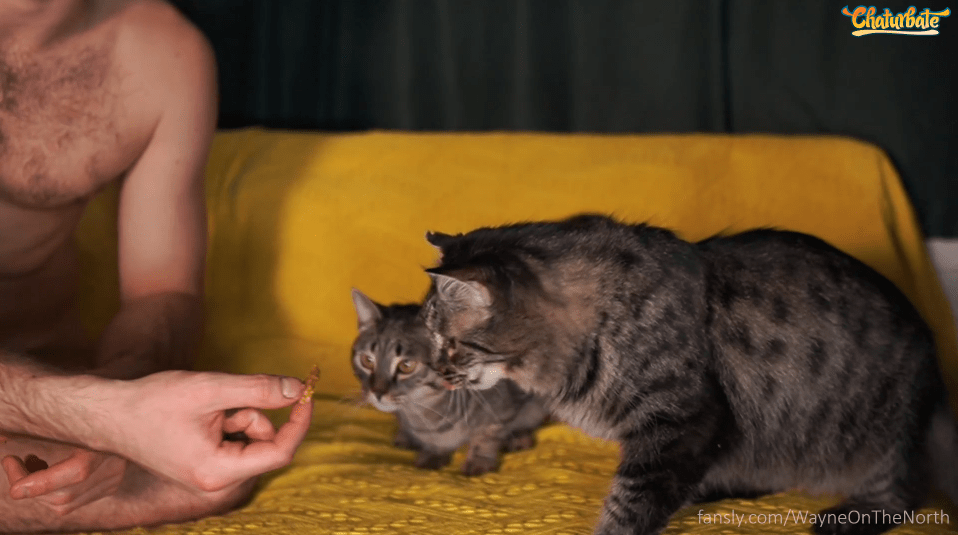 Who turned out the lights?