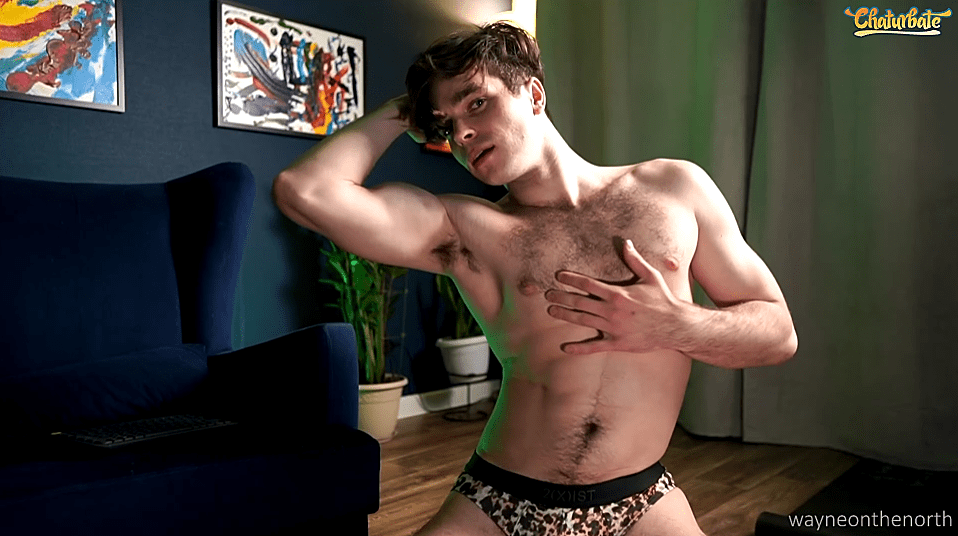 Gypsies, Tramps and&nbsp;Thieves