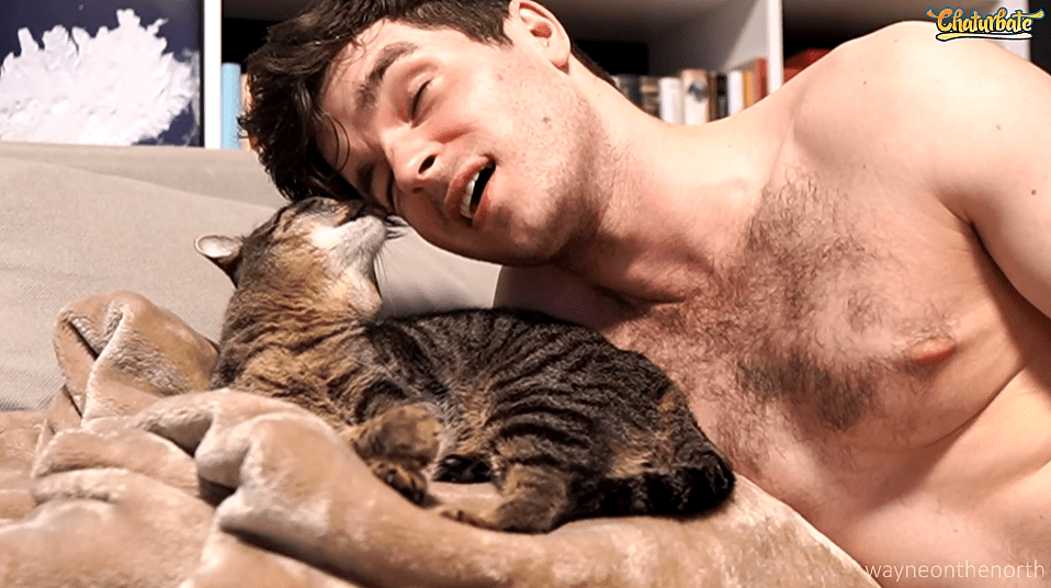 Michael From Mountains