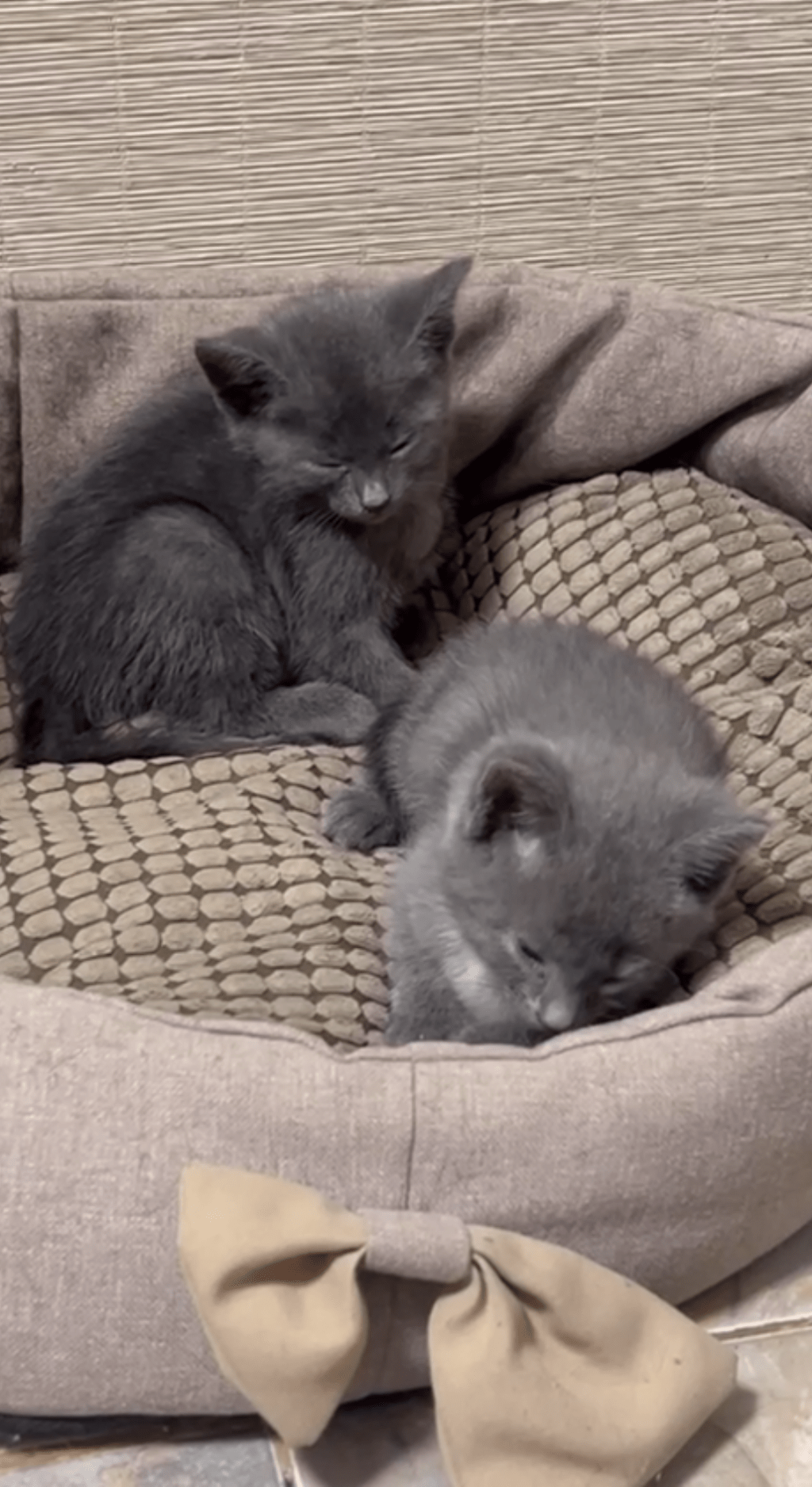 Set Fire To The&nbsp;Rain